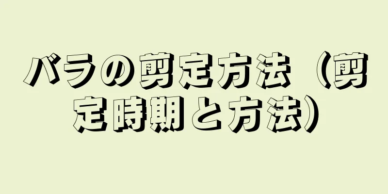 バラの剪定方法（剪定時期と方法）