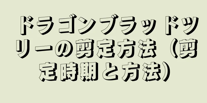 ドラゴンブラッドツリーの剪定方法（剪定時期と方法）