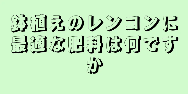 鉢植えのレンコンに最適な肥料は何ですか