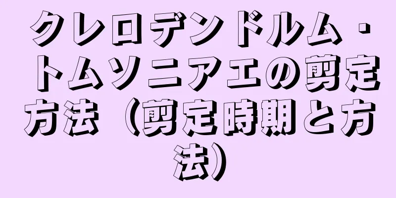 クレロデンドルム・トムソニアエの剪定方法（剪定時期と方法）
