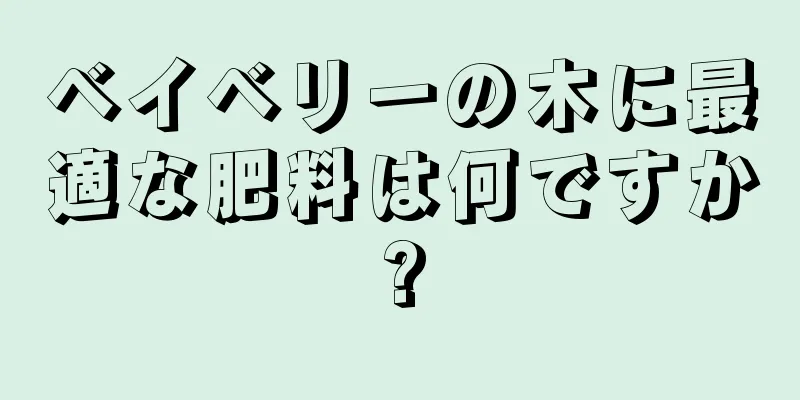 ベイベリーの木に最適な肥料は何ですか?