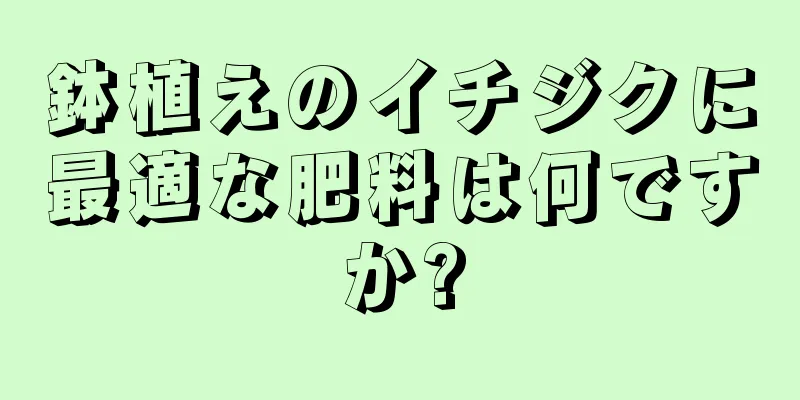 鉢植えのイチジクに最適な肥料は何ですか?