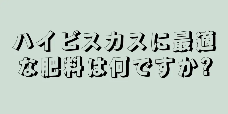 ハイビスカスに最適な肥料は何ですか?