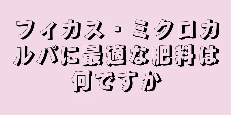 フィカス・ミクロカルパに最適な肥料は何ですか