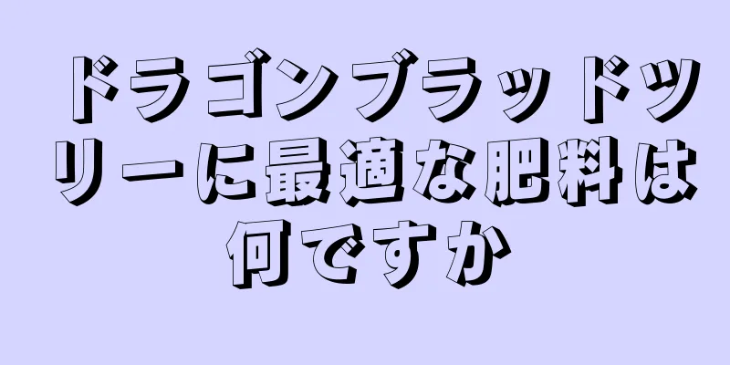 ドラゴンブラッドツリーに最適な肥料は何ですか