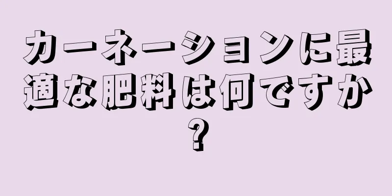 カーネーションに最適な肥料は何ですか?