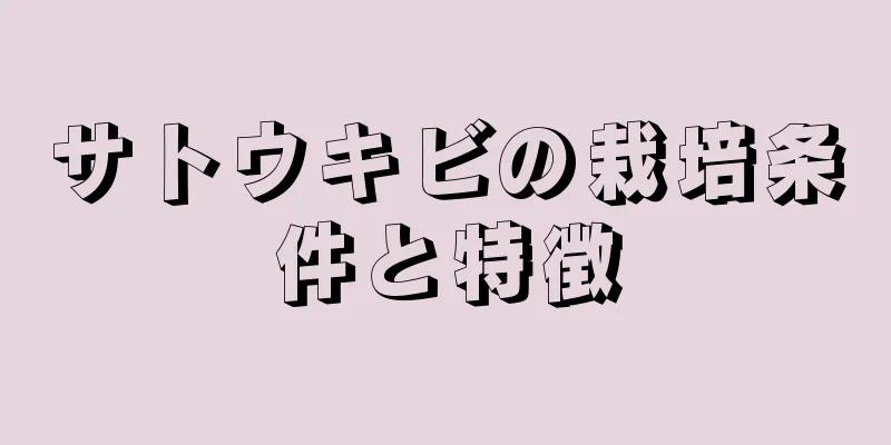サトウキビの栽培条件と特徴