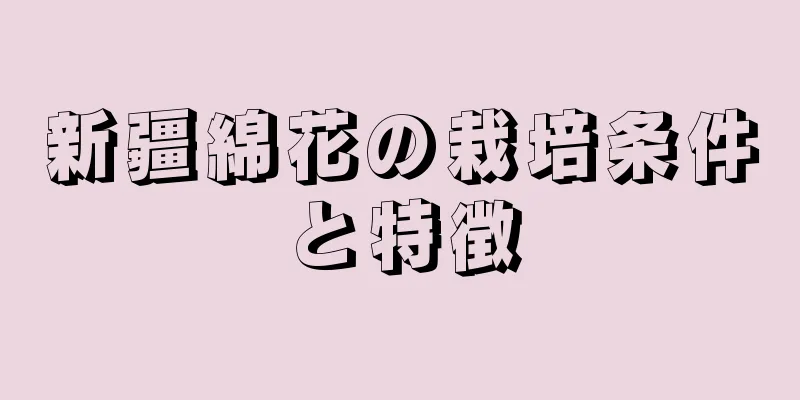 新疆綿花の栽培条件と特徴