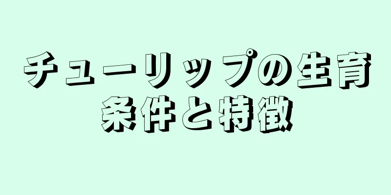 チューリップの生育条件と特徴