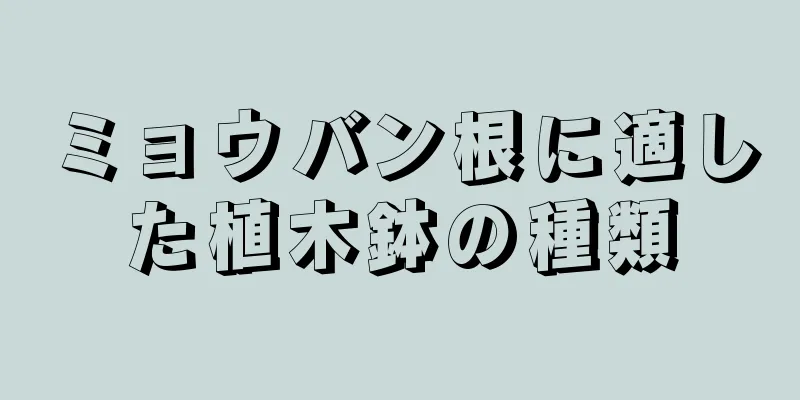 ミョウバン根に適した植木鉢の種類