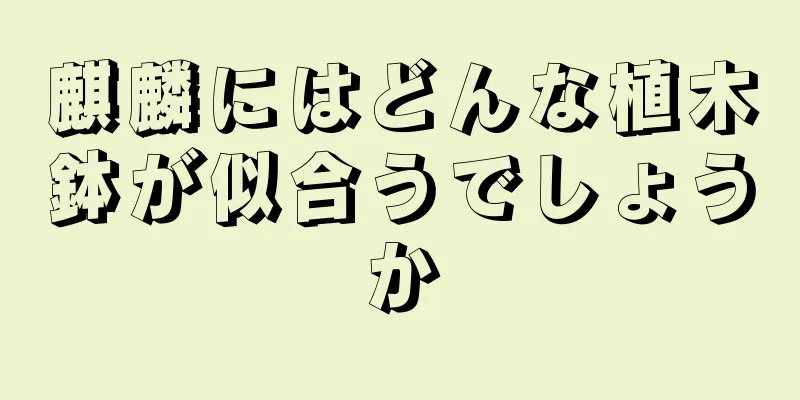 麒麟にはどんな植木鉢が似合うでしょうか