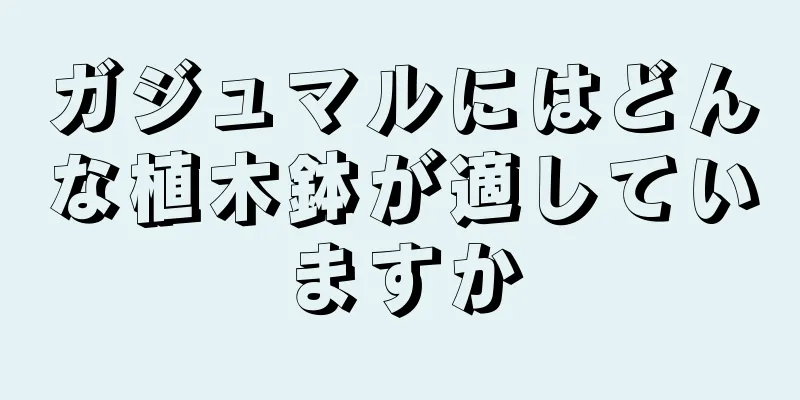 ガジュマルにはどんな植木鉢が適していますか
