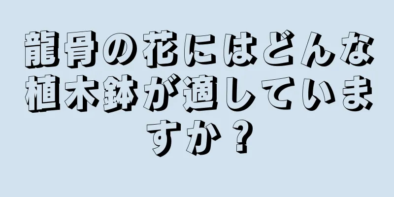 龍骨の花にはどんな植木鉢が適していますか？