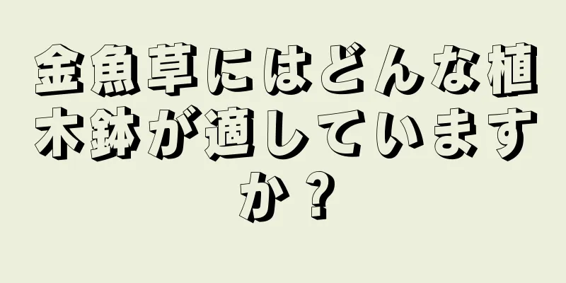 金魚草にはどんな植木鉢が適していますか？