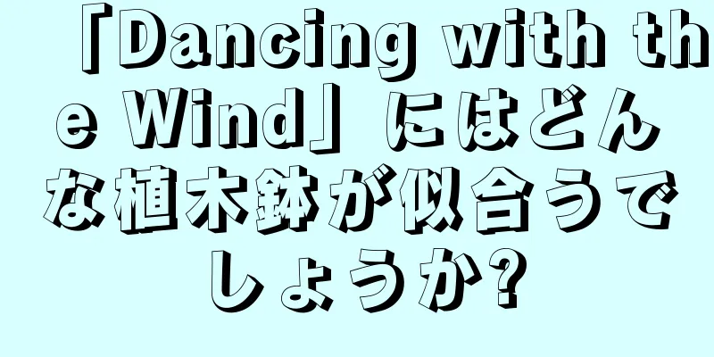 「Dancing with the Wind」にはどんな植木鉢が似合うでしょうか?