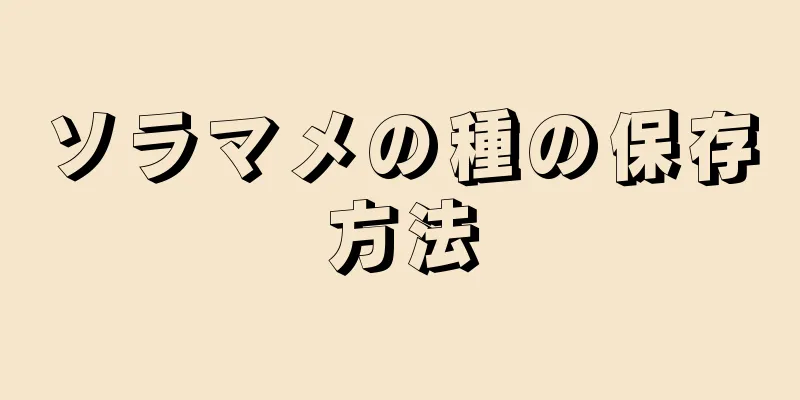 ソラマメの種の保存方法