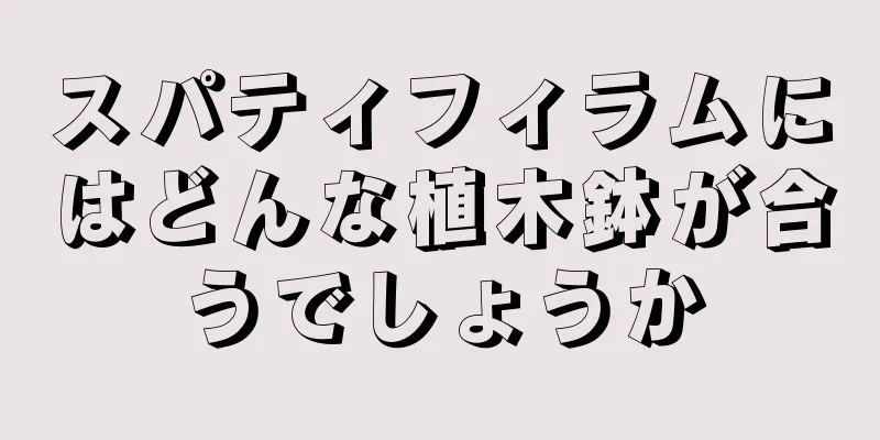 スパティフィラムにはどんな植木鉢が合うでしょうか