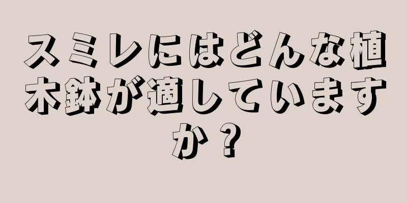 スミレにはどんな植木鉢が適していますか？