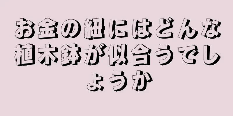 お金の紐にはどんな植木鉢が似合うでしょうか