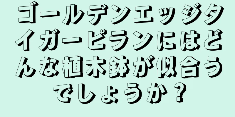 ゴールデンエッジタイガーピランにはどんな植木鉢が似合うでしょうか？