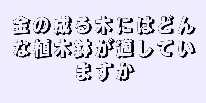 金の成る木にはどんな植木鉢が適していますか