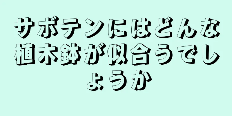 サボテンにはどんな植木鉢が似合うでしょうか