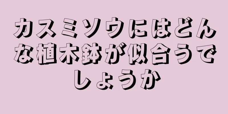 カスミソウにはどんな植木鉢が似合うでしょうか