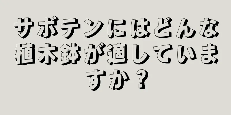 サボテンにはどんな植木鉢が適していますか？