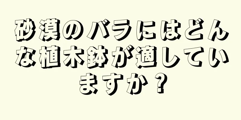 砂漠のバラにはどんな植木鉢が適していますか？