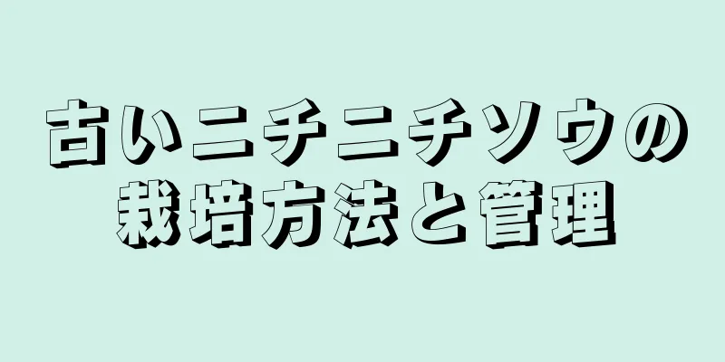 古いニチニチソウの栽培方法と管理