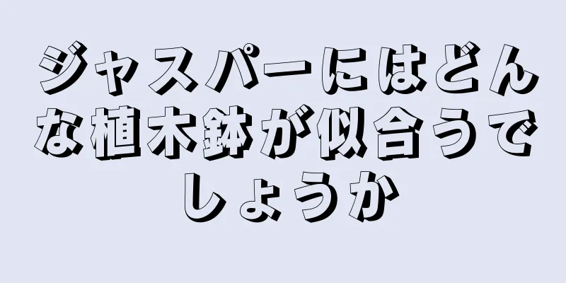 ジャスパーにはどんな植木鉢が似合うでしょうか