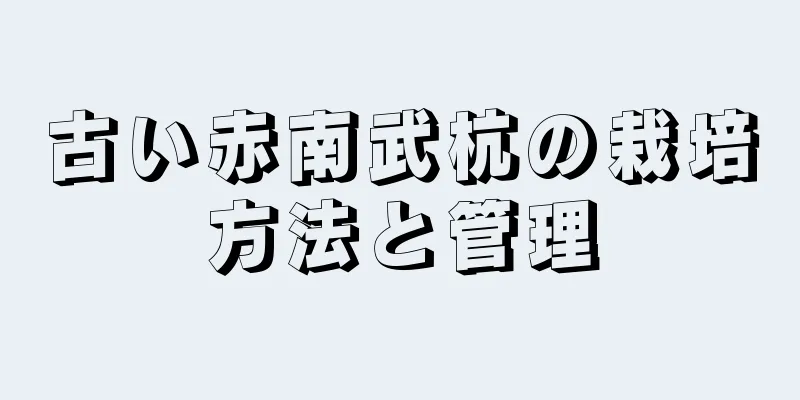 古い赤南武杭の栽培方法と管理