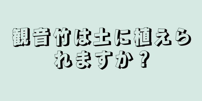 観音竹は土に植えられますか？