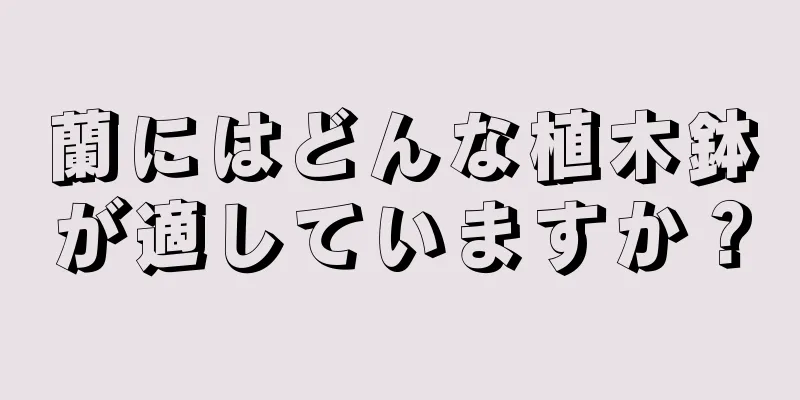 蘭にはどんな植木鉢が適していますか？
