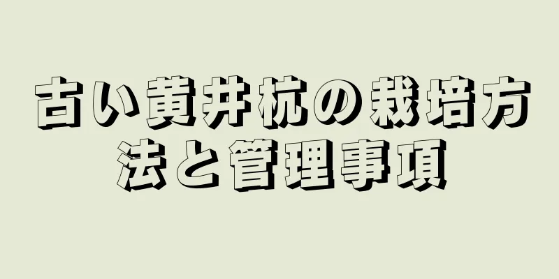 古い黄井杭の栽培方法と管理事項
