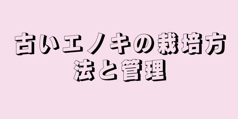 古いエノキの栽培方法と管理