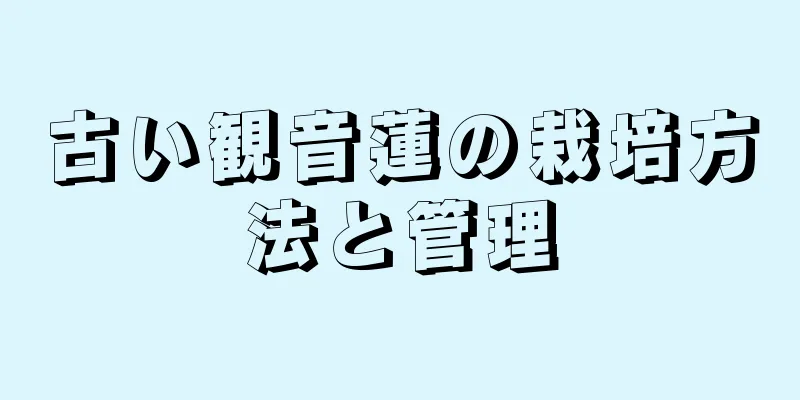 古い観音蓮の栽培方法と管理