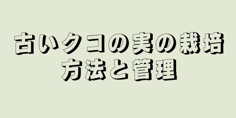 古いクコの実の栽培方法と管理