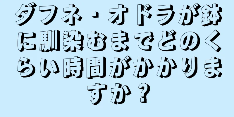 ダフネ・オドラが鉢に馴染むまでどのくらい時間がかかりますか？