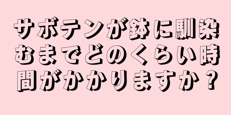 サボテンが鉢に馴染むまでどのくらい時間がかかりますか？