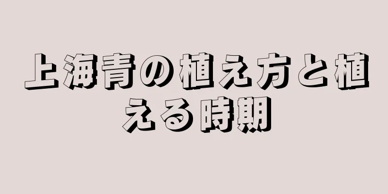 上海青の植え方と植える時期