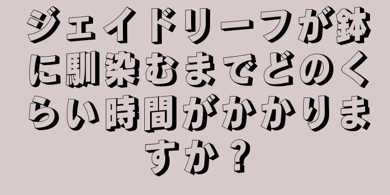 ジェイドリーフが鉢に馴染むまでどのくらい時間がかかりますか？