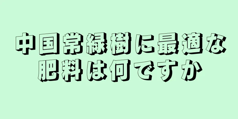 中国常緑樹に最適な肥料は何ですか