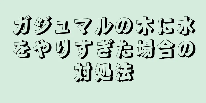 ガジュマルの木に水をやりすぎた場合の対処法
