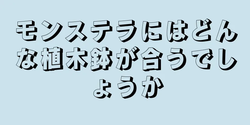 モンステラにはどんな植木鉢が合うでしょうか