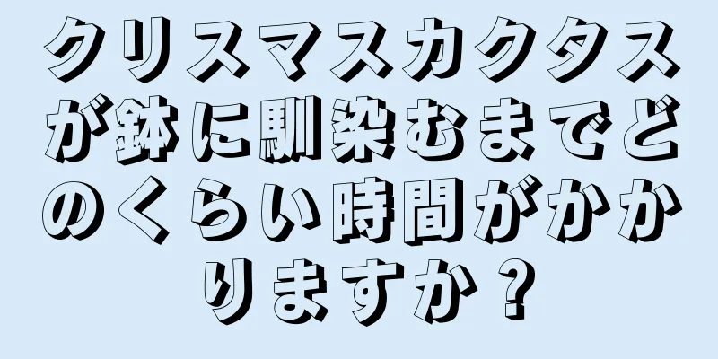 クリスマスカクタスが鉢に馴染むまでどのくらい時間がかかりますか？
