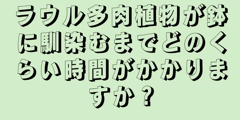 ラウル多肉植物が鉢に馴染むまでどのくらい時間がかかりますか？