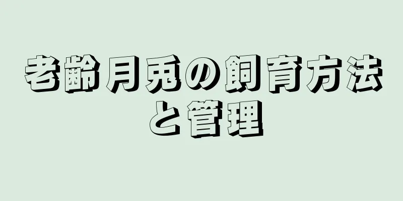 老齢月兎の飼育方法と管理
