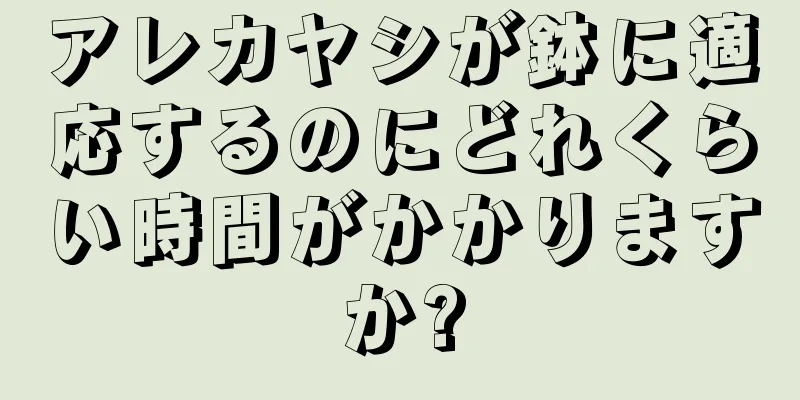 アレカヤシが鉢に適応するのにどれくらい時間がかかりますか?
