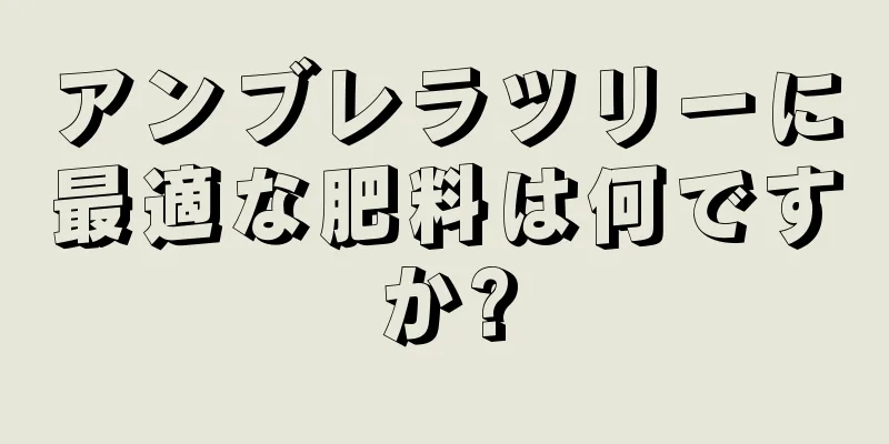 アンブレラツリーに最適な肥料は何ですか?